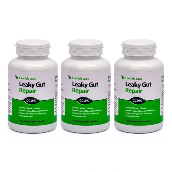 Gut Repair and Support 3 Month Course