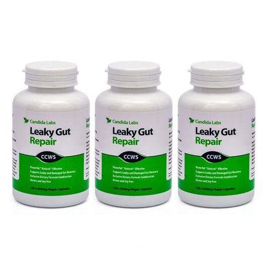 Gut Repair and Support 3 Month Course